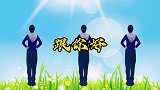 崔之韵广场舞《跟你好》简单柔美步背面演示