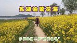 乡土风情  武汉东湖油菜花海 风景别致