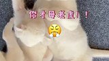 果然很神奇，一眨眼就长这么大了