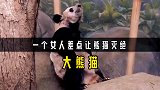 为什么一个女人差点中国熊猫灭绝