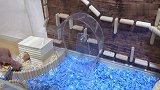仓鼠闯关吃零食，不一样的体验，表现棒棒哒