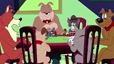 猫和老鼠：狗哥打牌，结果输的怀疑狗生！