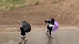 台风天打伞打了个寂寞 这兄弟力气也不小，要我直接伞遛我