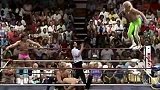 WWE-15年-1分钟看够所有组合 毁灭兄弟所向披靡-花絮