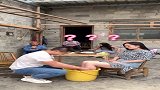 给小姨子洗脚，把小姨子当成老婆，结局太惨了！
