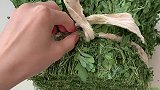 兔子吃的不要拿差的东西和好东西对比