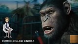 当仿真的猩猩 在真猩猩面前锯树 猩猩有啥神反应