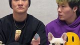 《只有狗不笑》