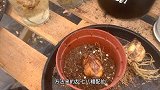 那个什么都不懂的小伙，又在尝试百合种植