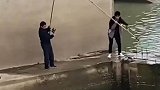 爸爸钓到大鱼让儿子拿网捞，结果鱼没捞着，秒变父子决裂现场