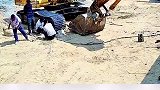 男子在敲东西，结果却把朋友给敲了，网友：这多少带点私人恩怨