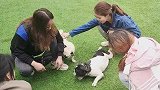 成都宠物公园