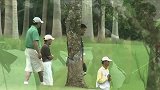 高尔夫-14年-观澜湖世界明星赛第1轮集锦-精华