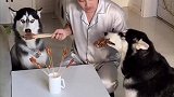 原本以为是高手没想到是只菜鸟