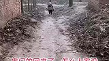 两岁萌娃自己去邻居家串门