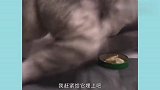 鱼兄你过分了，好歹给我留个腿啊