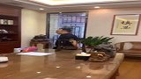 3年前做生意失败，如今东山再起，身价不简单！