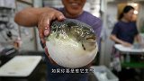 河豚被打捞上来，气嘟嘟的直吐水，网友：居然被鱼萌到了