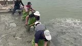 为什么要把水泥往海里面扔？