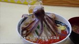 “碳烤河豚”风靡日本，河豚鼓起身体拼死防御，结果没坚持3秒！