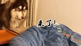 袋哥:别怕发生什么都有我在你身边！