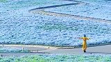 《Ryukyuvania》各花各有各花香