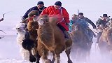 草原上的蒙古汉子，在雪地上赛骆驼，看上去很好玩的样子！