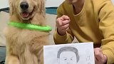 我觉得我那张邀请函画的不错，你们觉得呢？