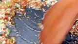 美食教程：蚝油娃娃菜