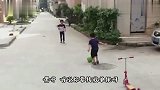 大爷太拉风了，你这是养了支狗崽队呀