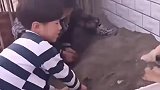 俩孩子挖坑埋狗，狗子一动不动十分配合