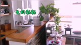 小猫咪野蛮霸占地盘，强迁花花草草，还假装无辜