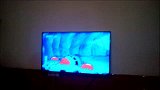 VID_20141006_114430.mp4