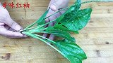 夏天多吃一种草，眼睛明亮喉咙不痒不痛，做法很简单哦，看看吧