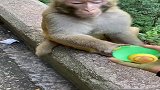 这哥们开瓶好厉害