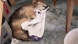 我无法用言语表达出那种失去后的心痛