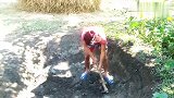 搞笑现场合集， 刨土刨人身上，找打