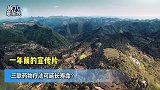 破次元！国家乒乓球队员陈梦竟是黄晓明表妹，俩人扶贫视频被曝光