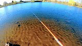 钓鱼视频：事实证明，水至清也有鱼，而且不少