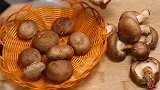 香菇炖豆腐越炖越入味，上桌香气四溢，看完又学会一道下饭菜