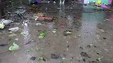 短剧：妈妈和来福玩“面目全非”，来福秒变新款表情包！太逗了