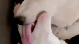 有人孤独有人被爱