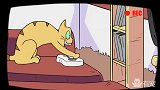 这只猫，两天给主人赚了五千万！
