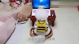 狗狗看电视入迷，一边看一边模仿，怕不是戏精附体了吧？
