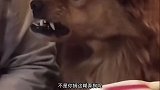 搞笑：吃个饭披头散发的，我是说面条