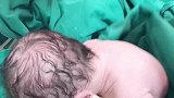 新生男宝宝刚出生的样子，张大嘴巴哇哇哭，声音洪亮真讨喜