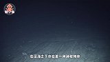 震惊世界的苏联绝密档案曝光！深海中隐藏地外文明，比还神秘