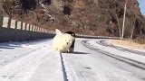 啥叫青梅竹马
