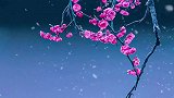 梅花爱雪雪不知，开在雪中做情痴