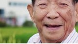 杂交水稻之父
